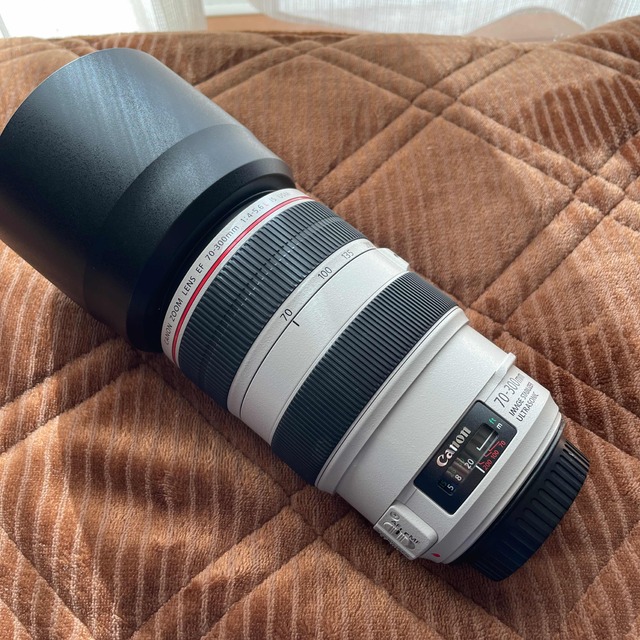 大人の上質 - Canon sakura様専用 Canon IS f4-5.6L EF70-300mm レンズ