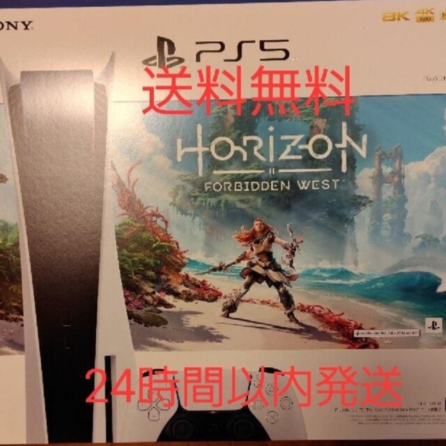プレイステーション5 本体 Horizon Forbidden West 同梱版
