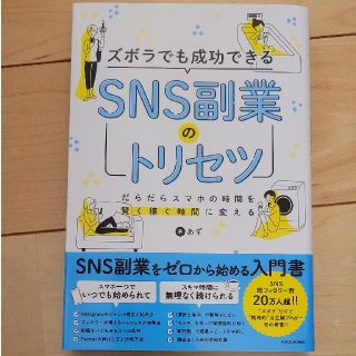 ズボラでも成功できるＳＮＳ副業のトリセツ(ビジネス/経済)