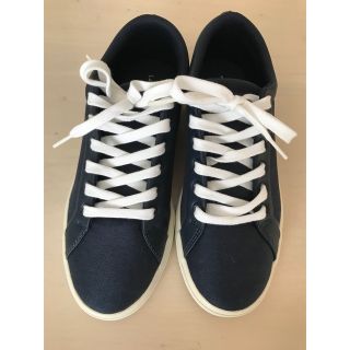 Lacoste ラコステ　スニーカー　極美品　24.5cm