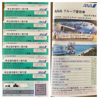 エーエヌエー(ゼンニッポンクウユ)(ANA(全日本空輸))のANA 株主優待券 7枚　ANAグループ優待券18枚(その他)