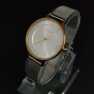 スカーゲン(SKAGEN)の極美品【稼働品】SKAGENスカーゲン　シルバー　ダイヤインデックス　レディース(腕時計)