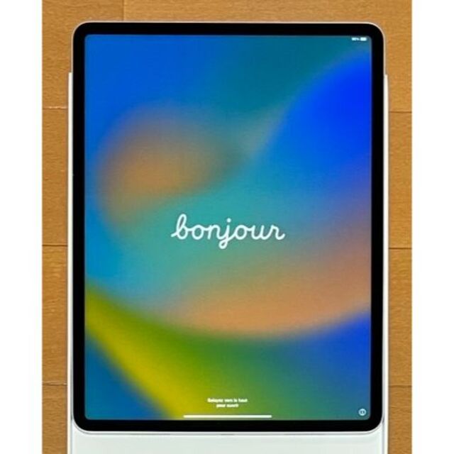 iPadPro256GB WiFi 第5世代+Apple Pencil第2世代