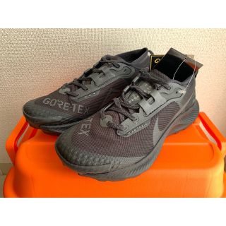 ナイキ(NIKE)のNIKE ペガサストレイル 3 DC8794-001 ゴアテックス 25.0cm(スニーカー)