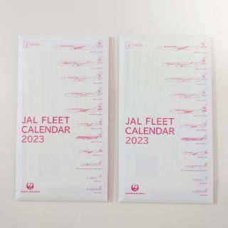 ジャル(ニホンコウクウ)(JAL(日本航空))のJAL  FLEET 2023 卓上カレンダー 2冊(カレンダー/スケジュール)