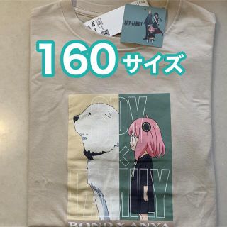 ユニクロ(UNIQLO)のSPY×FAMILY 第2弾 UT グラフィックTシャツ ボンド アーニャ160(キャラクターグッズ)