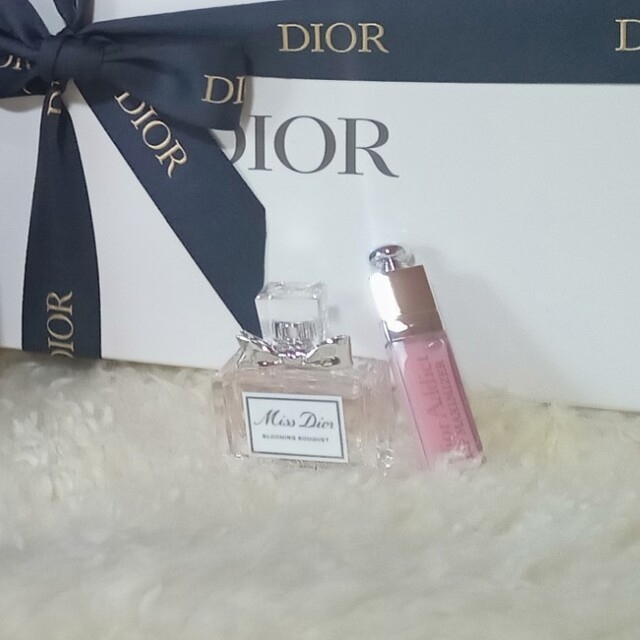 Dior(ディオール)のディオール　ノベルティ　ポーチ レディースのファッション小物(ポーチ)の商品写真