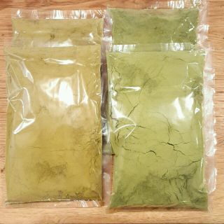 ナイアード ヘナ＋木藍100ｇ   ヘナ＋10種のハーブ100ｇ 2種類1セット(その他)