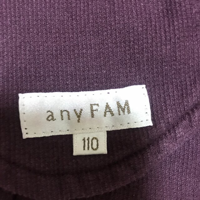 anyFAM(エニィファム)の女の子　110 スカート キッズ/ベビー/マタニティのキッズ服女の子用(90cm~)(スカート)の商品写真