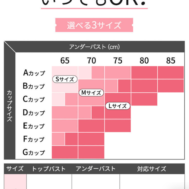 GYDA(ジェイダ)のAGARISM  GYDA スタイリング ブラ Mサイズ  アガリズム レディースの下着/アンダーウェア(ブラ)の商品写真