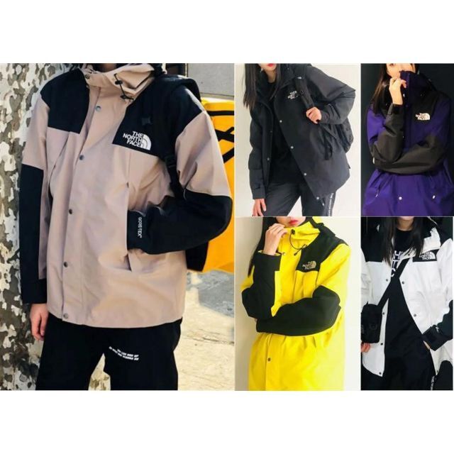 海外限定❗️The North Face ゴアテックスマウンテンジャケット