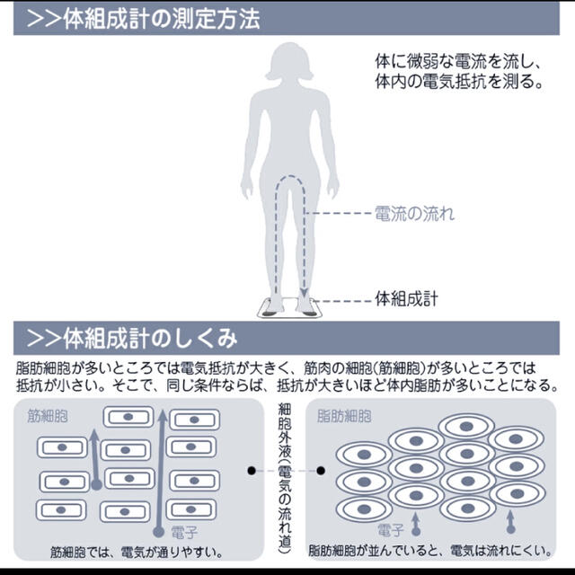 体重計 スマホ連動 体脂肪計 体組成計 ヘルスメーター おしゃれ スマホ/家電/カメラの美容/健康(体重計/体脂肪計)の商品写真