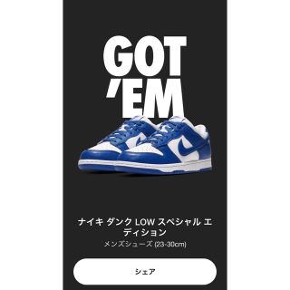 ナイキ(NIKE)のナイキ ダンク LOW スペシャル エディション (スニーカー)