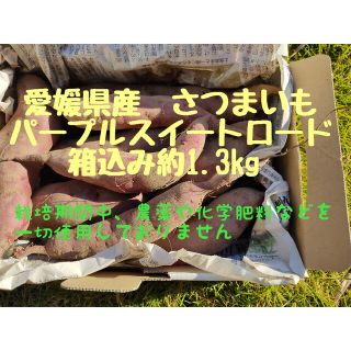 無農薬　愛媛県産さつまいも　パープルスイートロード　約1.3kg 追熟済(野菜)