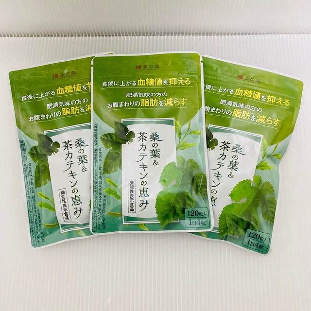 IP65防水 桑の葉&茶カテキンの恵み 3袋 通販 漢方セレクト 桑の葉茶カテキンの恵み 120粒