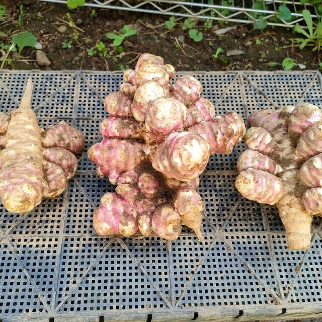 お得ななめらか紫菊芋パウダー90g×3袋セット(農薬化学肥料不使用) 食品/飲料/酒の食品(野菜)の商品写真