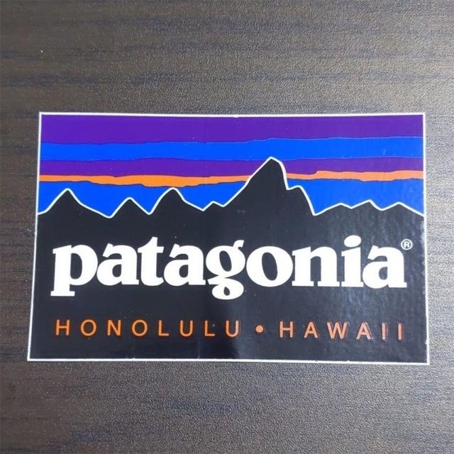 patagonia(パタゴニア)の(縦6.3cm横9.9cm)patagonia パタゴニア　公式　ステッカー スポーツ/アウトドアのフィッシング(その他)の商品写真