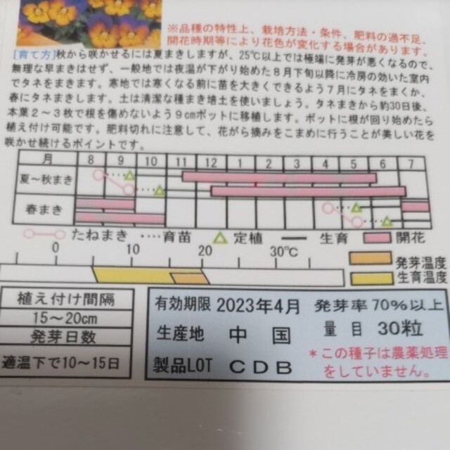 お見舞い 種 花たね ビオラ ブラッシュストローク 1袋 20粒