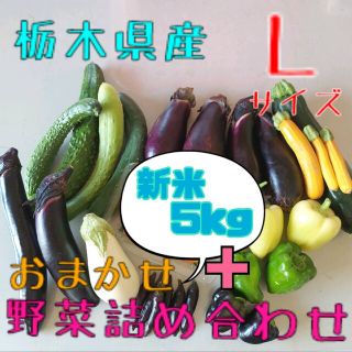 おまかせ野菜詰め合わせ＋【新米(コシヒカリ)5kg】80サイズ(野菜)