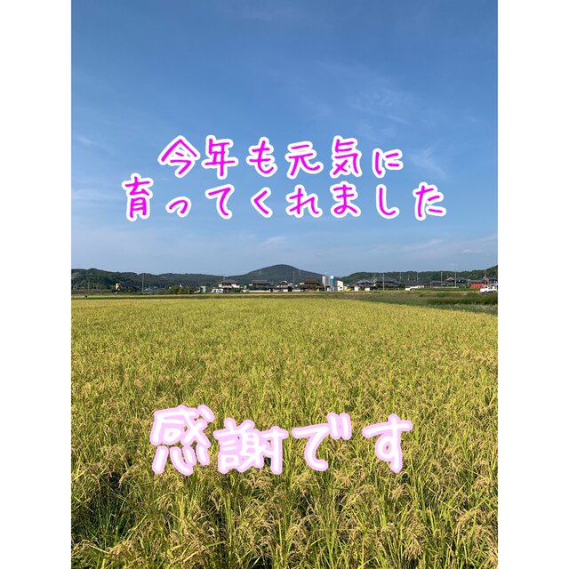 白米10kg天然有機物栽培令和4年度産 新米ヒノヒカリ 使用農薬は除草剤 ...