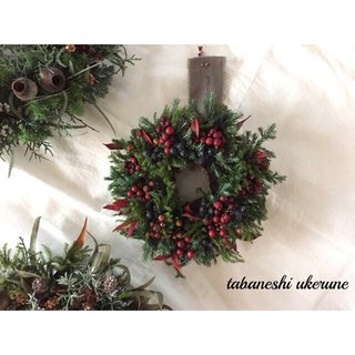 ノイバラや針葉樹を丁寧に紡いだ 可愛いらしい クリスマス リース ドライフラワー(リース)