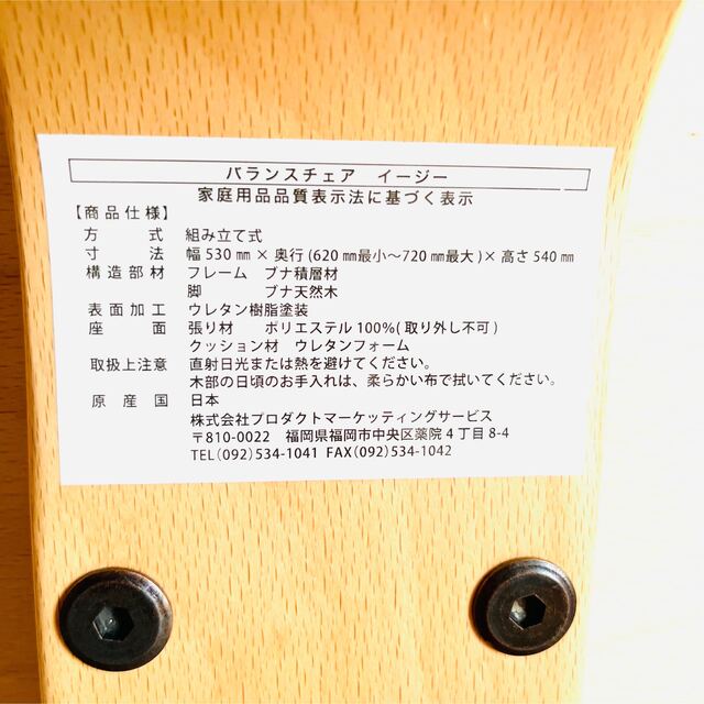 サカモトハウス バランスチェアイージー その他