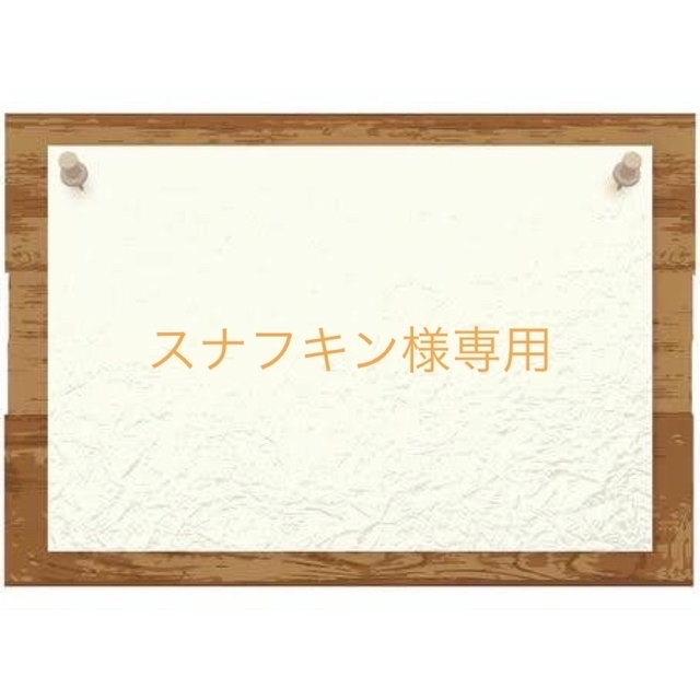 スナフキン様専用♡】100枚の通販 by chi-co|ラクマ