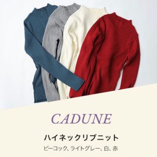 マイストラーダ(Mystrada)の【新品未使用】CADUNEノベルティ ハイネックリブニット(ニット/セーター)