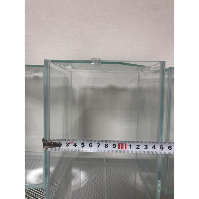 ベタ水槽(15×15×20) 4個+ベタコレM2個の通販 by Y's shop|ラクマ