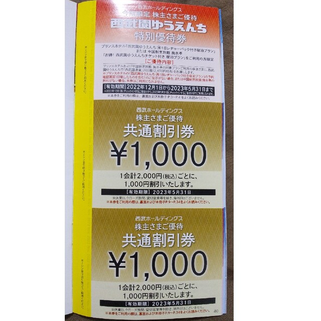 西武ホールディングス 株主優待 共通割引券 10枚 2023年5月31日 - その他