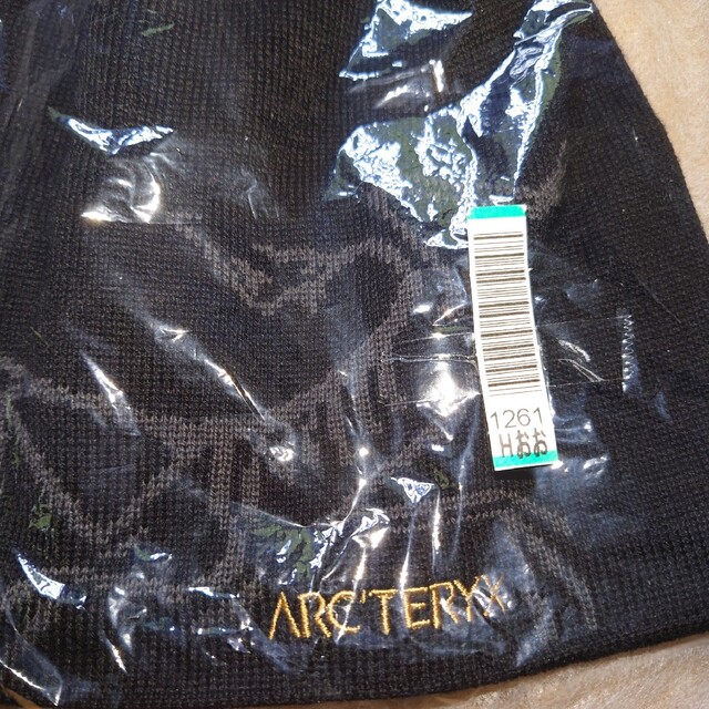 ARC'TERYX(アークテリクス)のアークテリクス　バードヘッドトーク　ビーニー　ブラック メンズの帽子(ニット帽/ビーニー)の商品写真