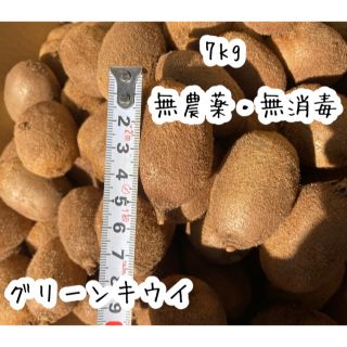 7kg キウイフルーツ　無農薬　岐阜県産　売り尽くし(フルーツ)