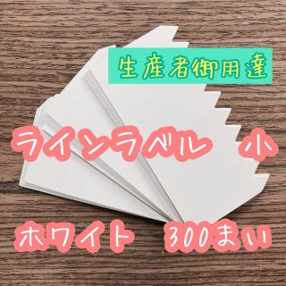 ラインラベル 小 300枚園芸ラベル カラーラベル 多肉植物 エケベリア(プランター)