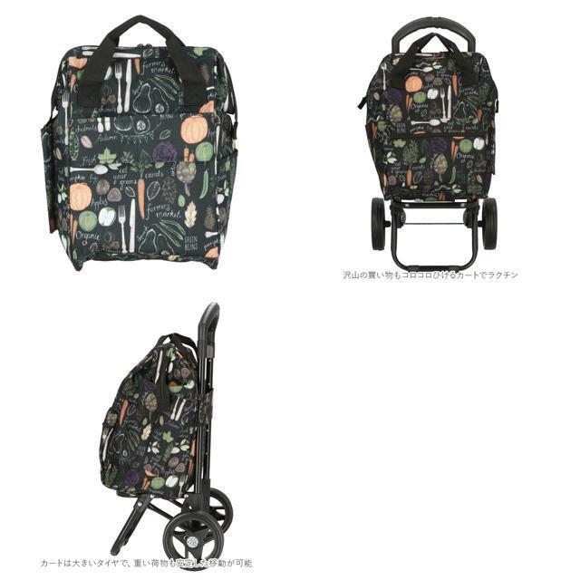 VALENTINO VISCANI ショッピングカート 2本手口枠タイプ レディースのバッグ(スーツケース/キャリーバッグ)の商品写真