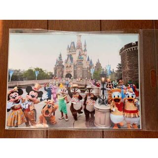 ディズニー(Disney)のディズニーランド 30周年 Happiness is here 写真(キャラクターグッズ)