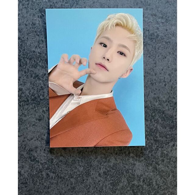 SEVENTEEN - 【ホシ】seventeen be the sun フーディー フォトの通販