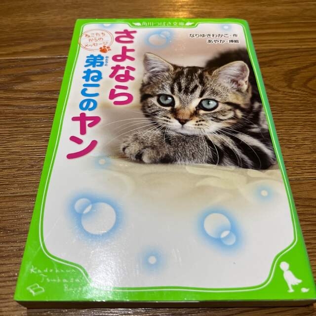 さよなら弟ねこのヤン ねこたちからのメッセージ エンタメ/ホビーの本(絵本/児童書)の商品写真