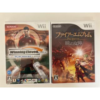ウィー(Wii)のWii ソフト　2本(家庭用ゲームソフト)