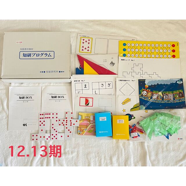 魅力的な価格 知研プログラム 5期 チャイルドアイズ使用教材 nascd.edu.bd