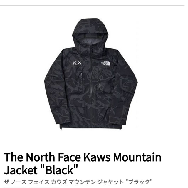 競売 - FACE NORTH THE マウンテンパーカー The 