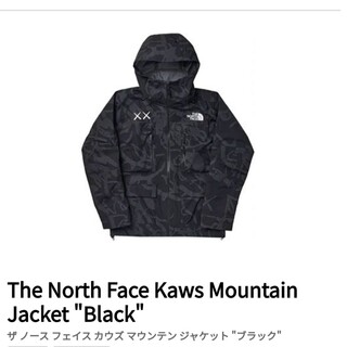 ザノースフェイス(THE NORTH FACE)のThe North Face Kaws Mountain Jacket "Bla(マウンテンパーカー)