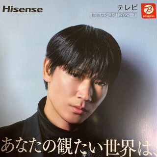 綾野剛・Hisense テレビ 総合カタログ 2021年(男性タレント)