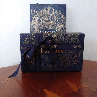 クリスチャンディオール(Christian Dior)の★Dior★カプチュール トータルホリデー クリスマス ポーチ(ポーチ)