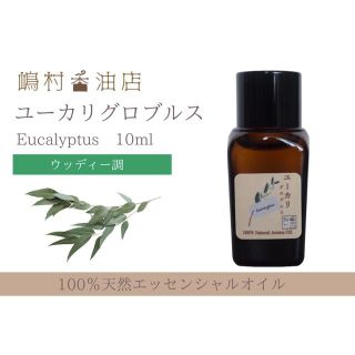 ユーカリ グロブルス 10ml   アロマ用精油　エッセンシャルオイル(エッセンシャルオイル（精油）)