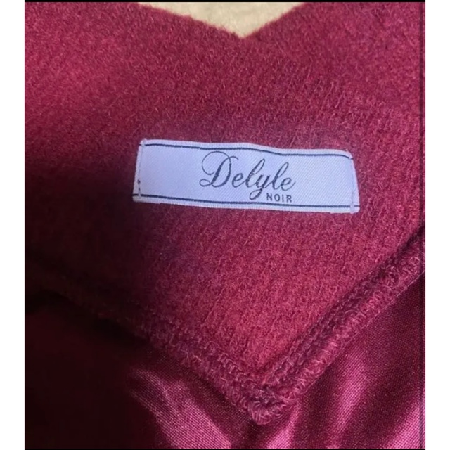 Delyle NOIR(デイライルノアール)のニット レディースのトップス(ニット/セーター)の商品写真