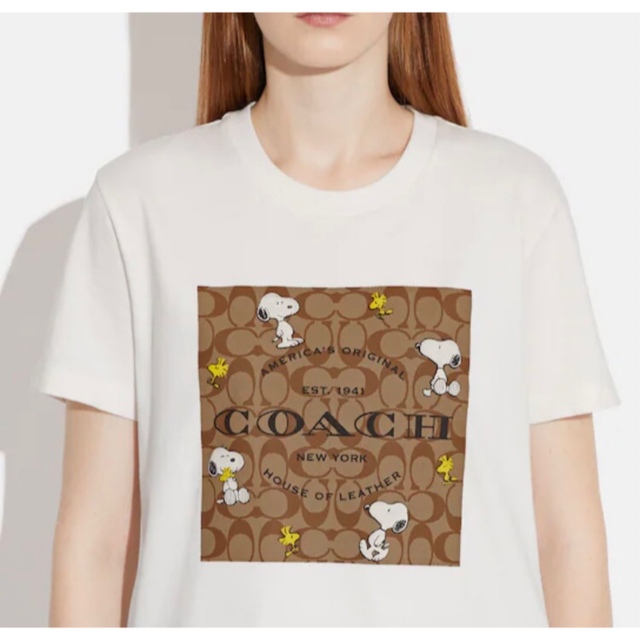 【美品】COACH Tシャツ