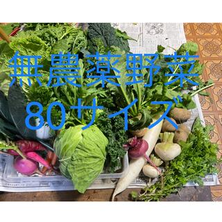 無農薬野菜詰め合わせ　(80サイズ)(野菜)