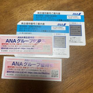 エーエヌエー(ゼンニッポンクウユ)(ANA(全日本空輸))のANA株主優待２枚(その他)