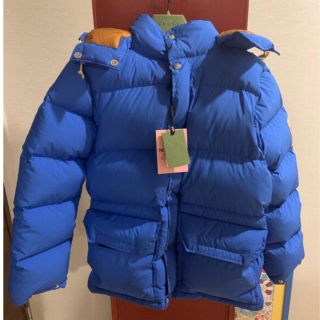 グッチ(Gucci)のgucci the north face TNF down ダウン(ダウンジャケット)