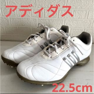 アディダス(adidas)のアディダス　ゴルフシューズ(シューズ)